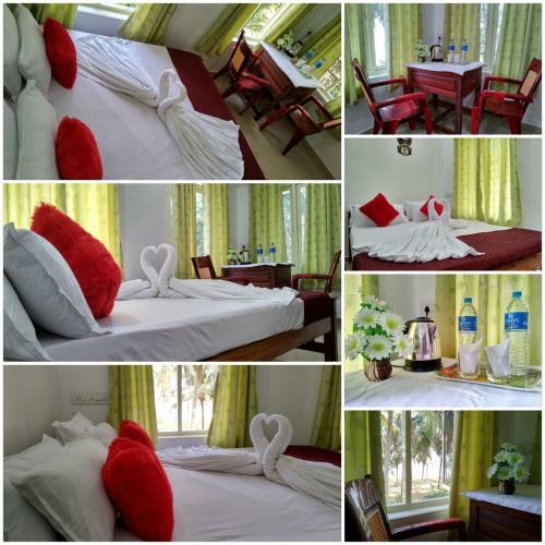 Blue Birds Homestay