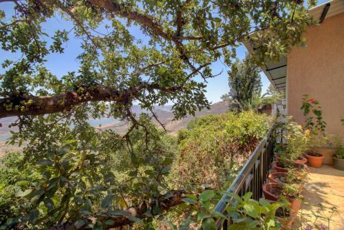 Hotel Rainforest Restaurant & Villas