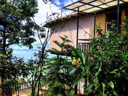 Hotel Rainforest Restaurant & Villas