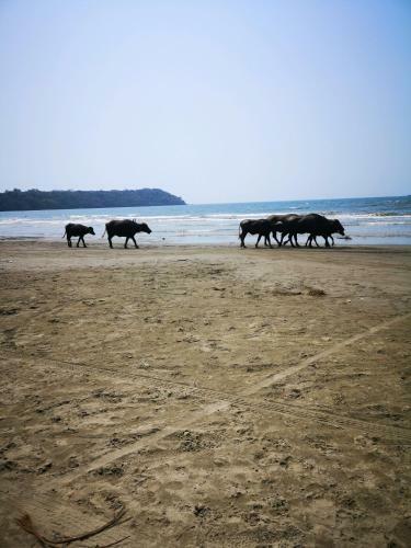 Quarto De Casa Vianney