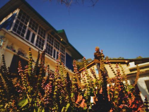 Vista Backpackers Hostel