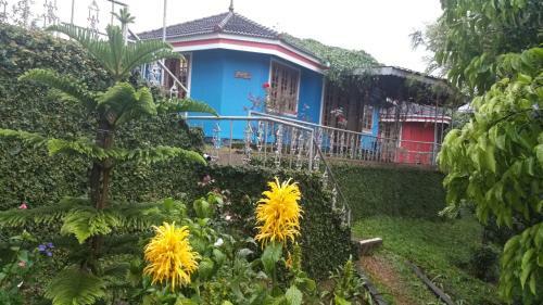Agroturismo Rhapsody Holiday Villas