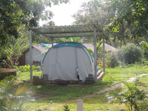 Dandeli - Jungle Nest