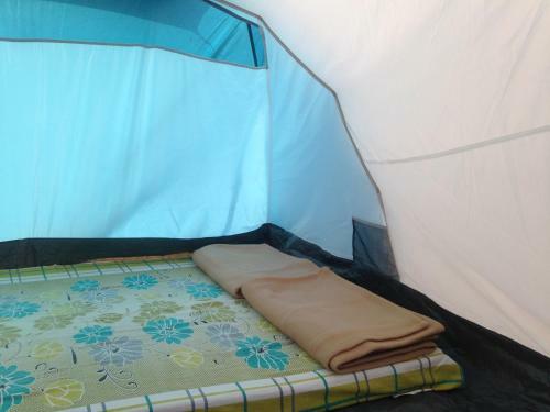 Dandeli - Jungle Nest