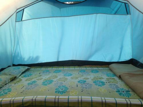 Dandeli - Jungle Nest