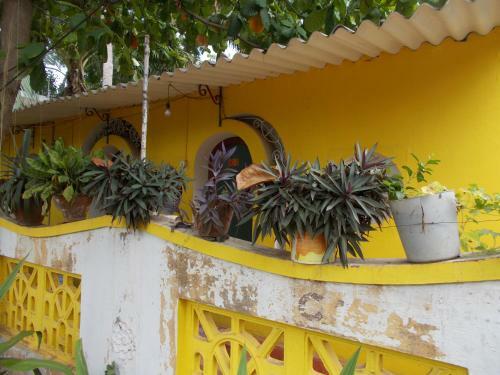 Hostal Orly Cafe And Guest House