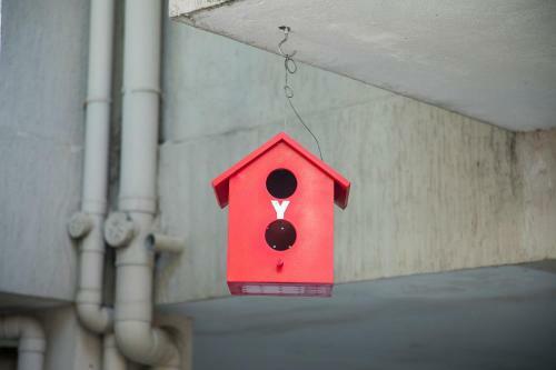 Villa Serene 2bhk In Pondicherry City Centre