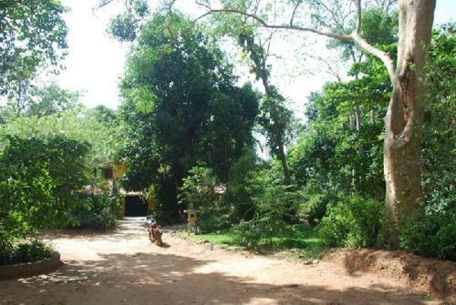 Hostal Isai Ambalam Guest House