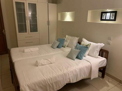 The Wildflowers Of Walden