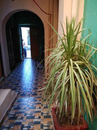Villa Kalifie | Homely Stay