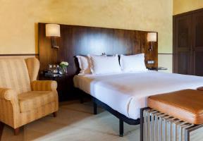 AC Palacio Del Carmen Hotel, Autograph Collection