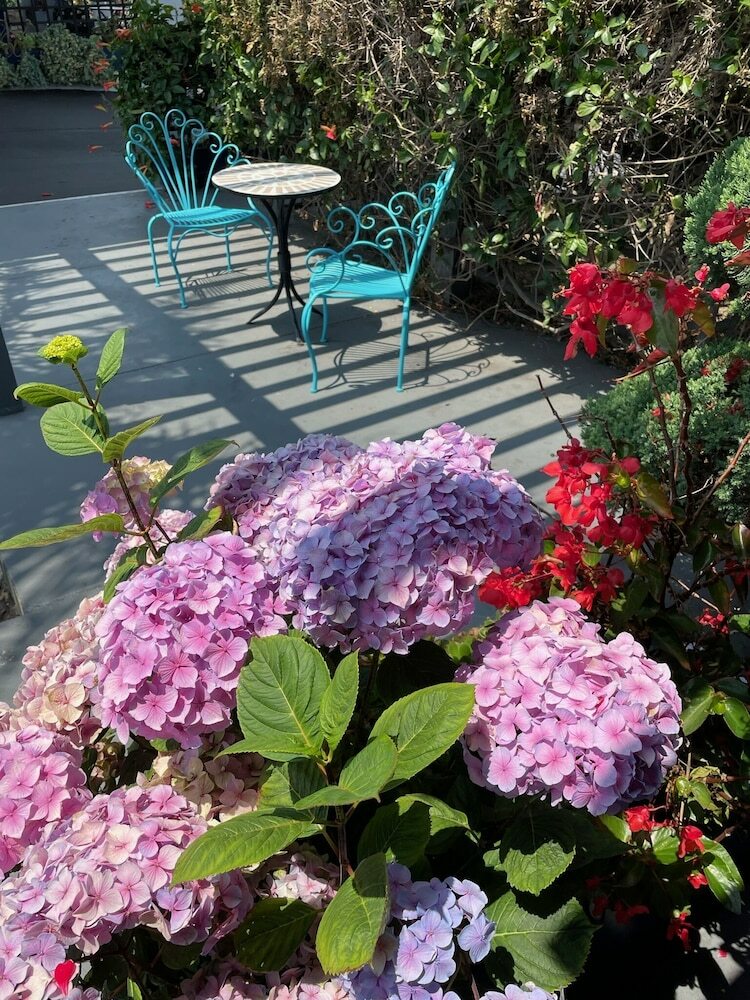 Hotel Comfort Inn Monterey Bay