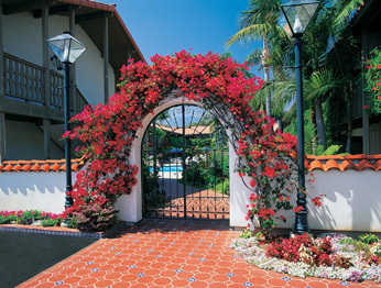 Hotel Best Western Pepper Tree