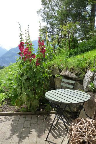 Bed & Breakfast Pension Chalet Berkana