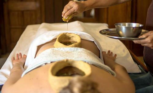 Hotel Ganga Vatika Ayurveda Bhavan