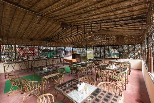 Hotel Junglelore Camp Resort & Retreat