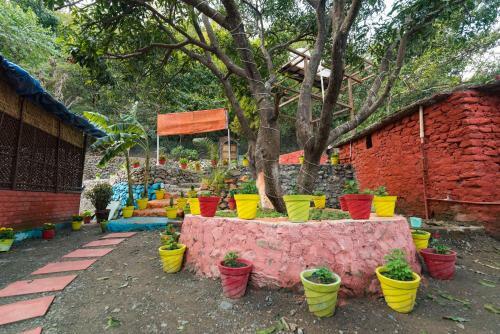 Hotel Junglelore Camp Resort & Retreat