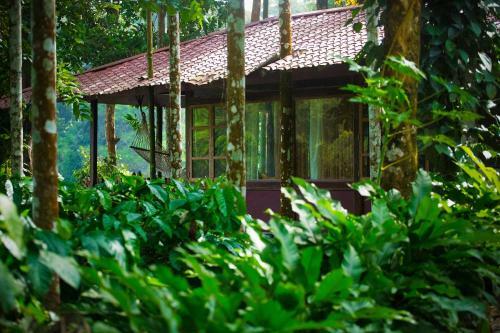 Shanthi Kunnj - A Paradise By The Riverside