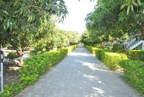 Gir Jungle Lodge