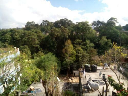 Troya Home Stay