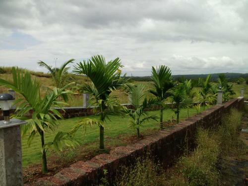 Hostal Rashmi Woods Hotel & Resort