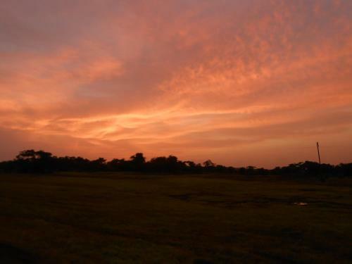 Hostal Rashmi Woods Hotel & Resort