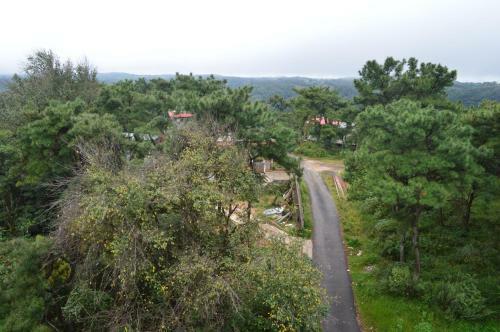 Hostal Orange Homestay