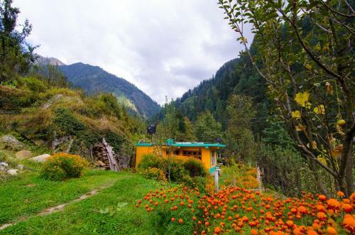 Lambhari Hills, Jibhi