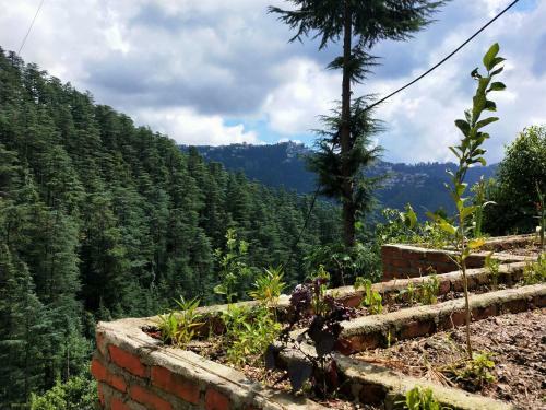 Apartamento Neha Homestay