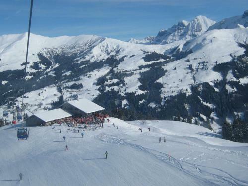 Apartamentos Ferienwohnung Lenk