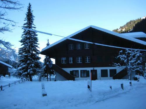 Apartamentos Ferienwohnung Lenk