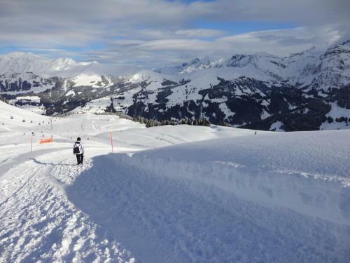 Apartamentos Ferienwohnung Lenk