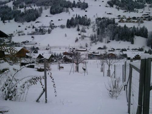 Apartamentos Ferienwohnung Lenk