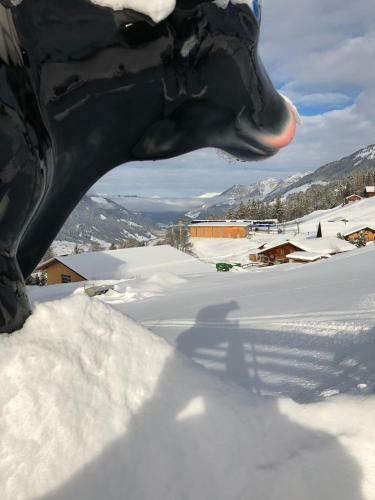 Albergue Snow Beach Lodge Metsch