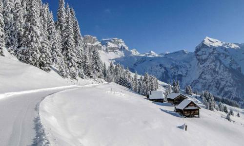 Hotel Alpenclub
