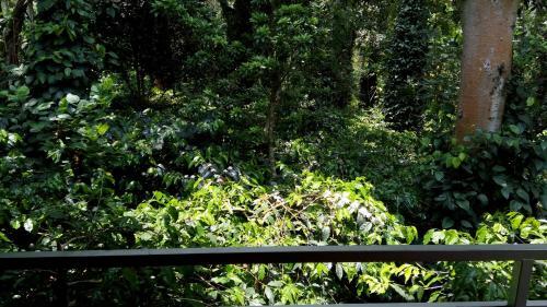 Bed & Breakfast Staysimple Spicefarm