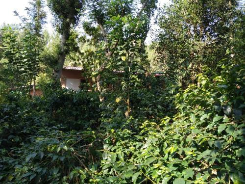 Bed & Breakfast Staysimple Spicefarm