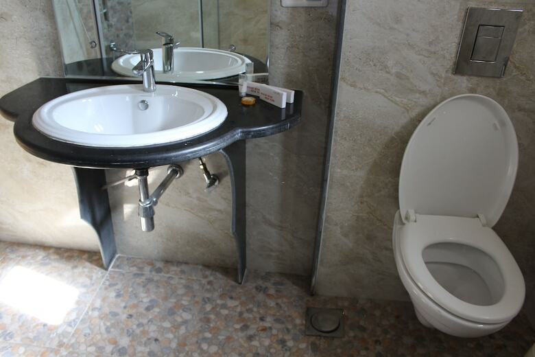 Hotel Nigeen Lake View Resort