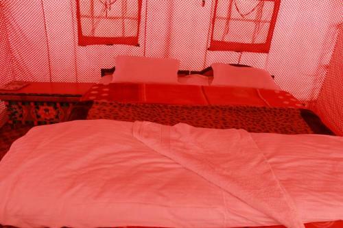 Auspicious Camp Pangong