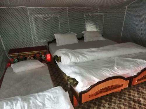Auspicious Camp Pangong