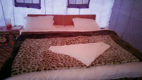 Auspicious Camp Pangong