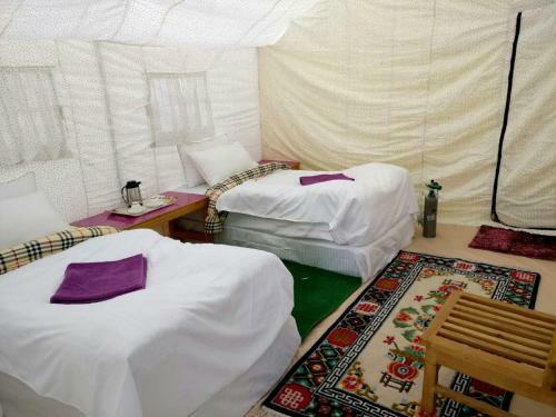 Tih The Regal Camp Pangong