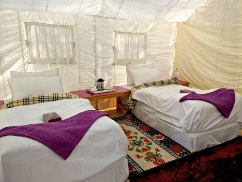 Tih The Regal Camp Pangong