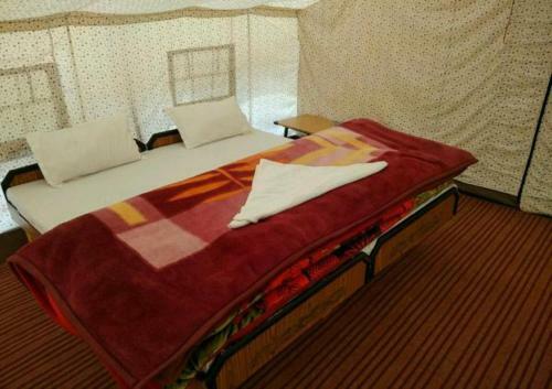 The Buddha Camp - Pangng
