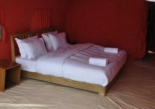 The Buddha Camp - Pangng