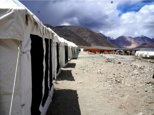 Ladakh Summer Pangong Camp