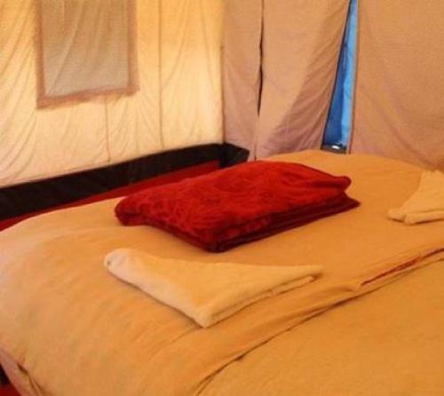 Wonderland Tourist Camp -pangong