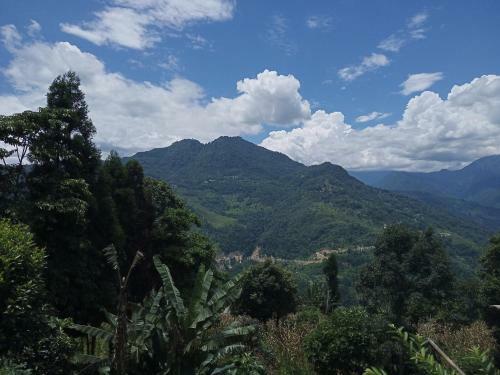 Sanu Homestay