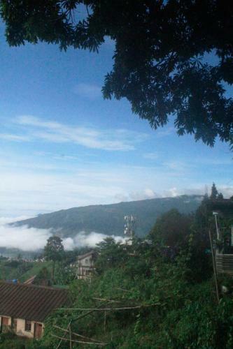 Solacetone Homestay