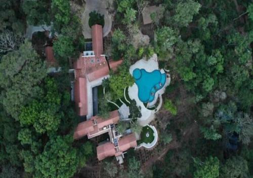 Hotel The Birchwood Retreat, Madikeri